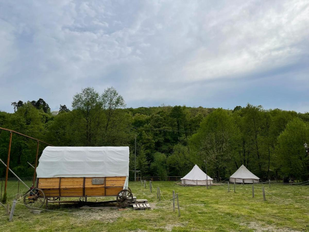 Hotel Campingul Apusenilor Suncuius Exterior foto